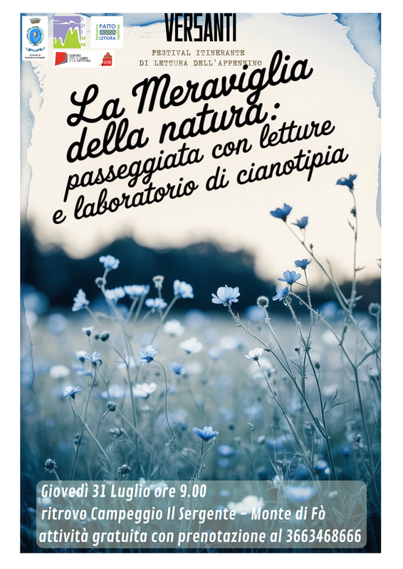 Immagine 365